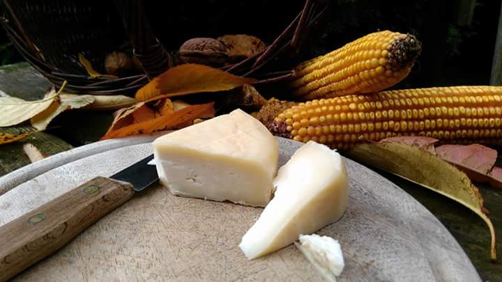 Tylžský sýr  100g